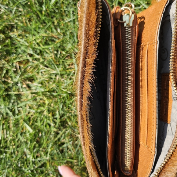 Clutch - Picture 4 of 6